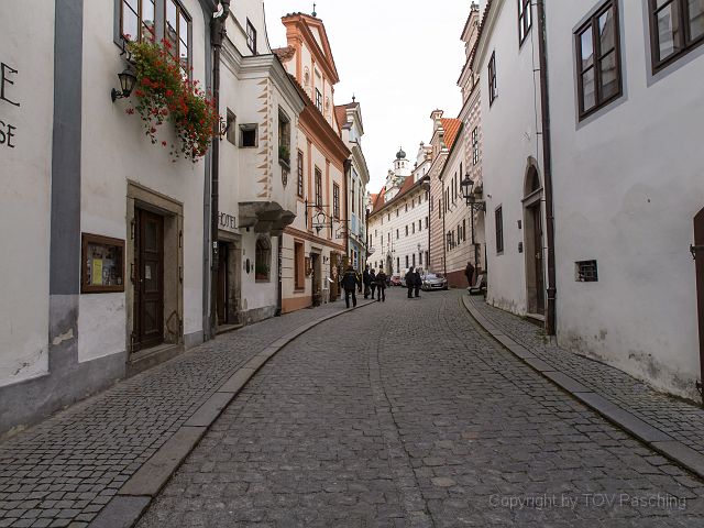 _A130741.jpg
