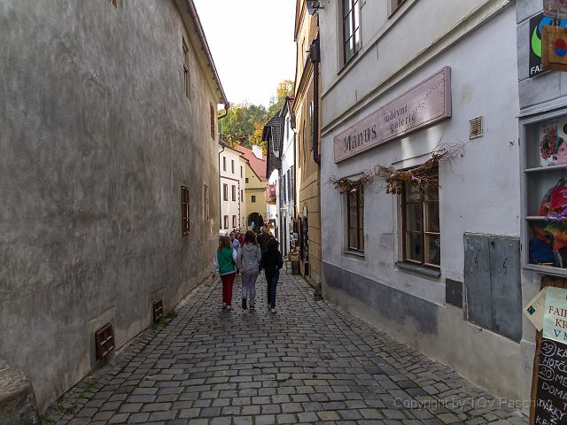 _A130750.jpg
