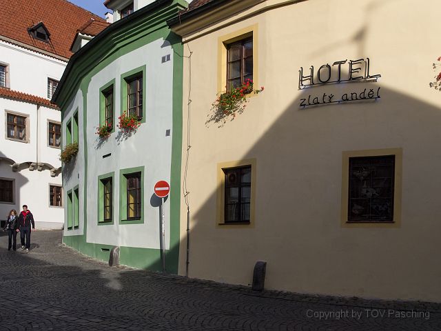 _A130763.jpg