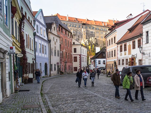 _A130783.jpg