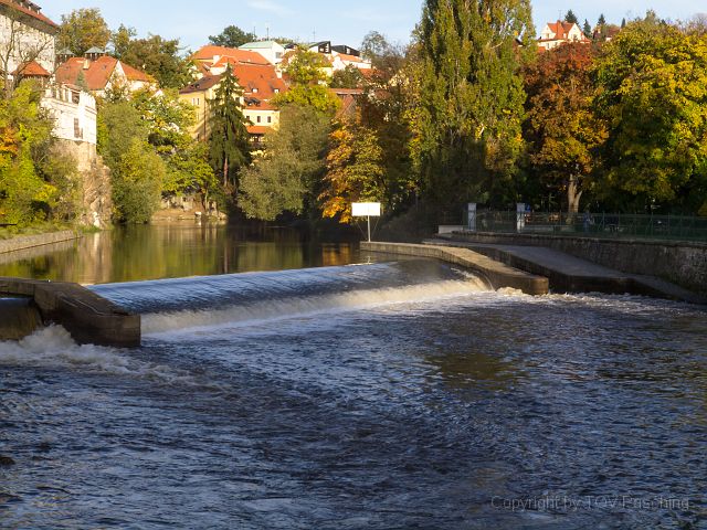 _A130789.jpg