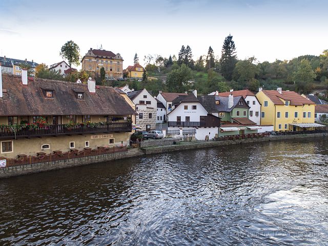 _A130790.jpg