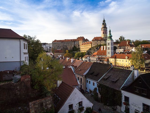 _A130803.jpg