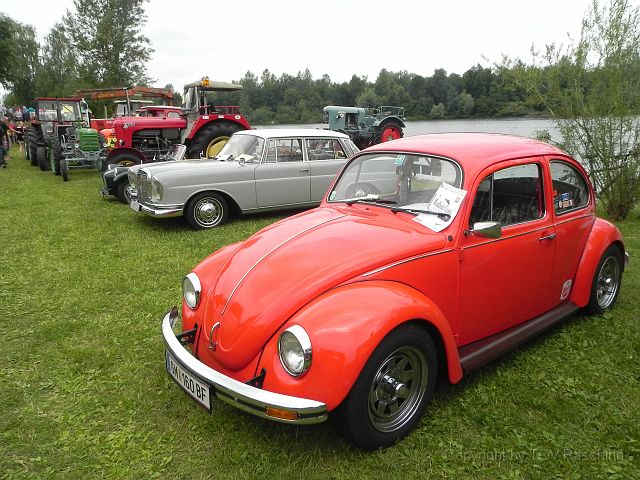 TT_Pucking_076.JPG