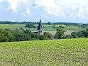 DSCN8449