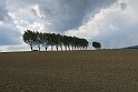 IMG_2706