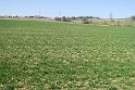 IMG_0483