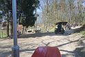 IMG_0498