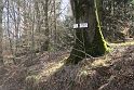 IMG_0535