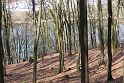 IMG_0544