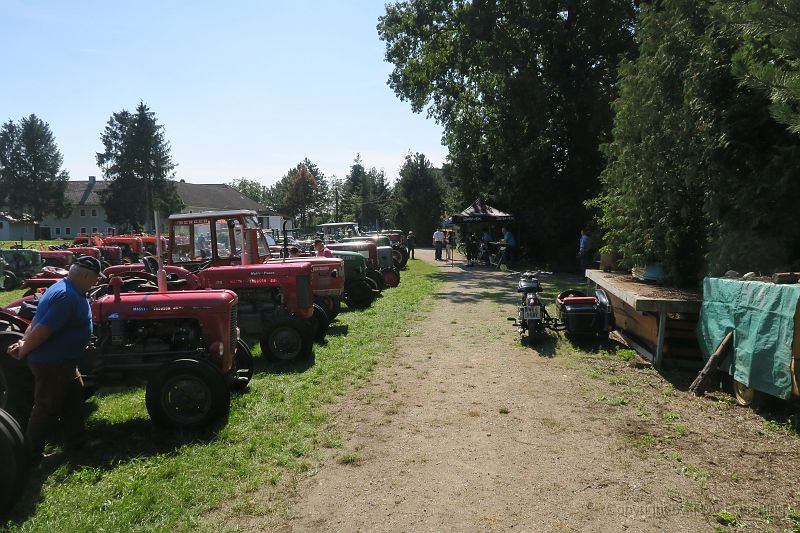 IMG_5039.JPG
