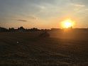 IMG_8844
