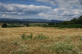 IMG_8865